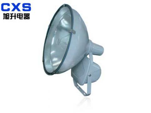 Water-Proof Auddust-Proof Projecting Lamp